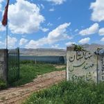 نهالستان پسته - انگور و گل محمدی مهندس شاهوردی