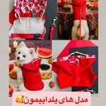 پت شاپ سزار