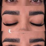 خدمات مژه ماهی مون