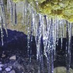 غار یخ اصفهان