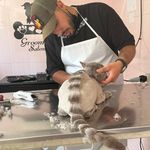 امین شمس فرشباف