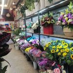 گلفروشی مینیاتور
