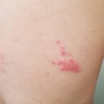 دکتر محمدحسین باقری کاشانی