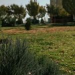 بوستان میلاد