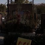 پارکینگ محله درختی