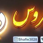 مزون عروس دریا