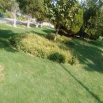 بوستان ولیعصر