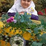 مهد کودک و کودکستان پنج ستاره فاطمیه