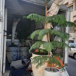 وانت بار لوکس