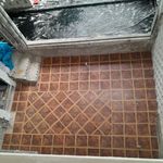 باقر معظمی گودرزی