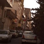 تهیه غذای گل یاس