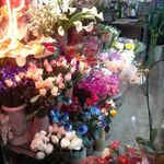 گل فروشی ظفر