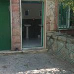 سرویس بهداشتی بوستان نظام گنجوی