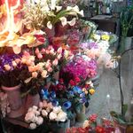 گل فروشی ظفر