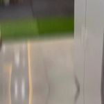 باشگاه بانوان الی جیم