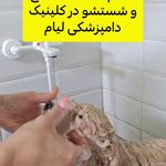 کلینیک دامپزشکی لیام