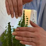 خدمات کاشت ناخن و اکستنشن مژه نفس