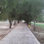 بوستان کیانشهر