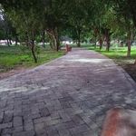 بوستان کیانشهر