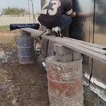 تولید و پخش ایزوگام یوسف زاده