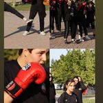 باشگاه کیک بوکسینگ و ام ام ای هادی