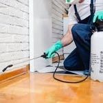 خدمات سمپاشی محمدی