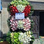 گلفروشی پالیز