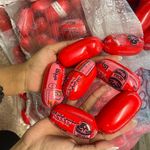 پخش مواد غذایی دکتر چیز