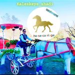 تشریفات کالسکه شادی .اجاره کالسکه و اسب