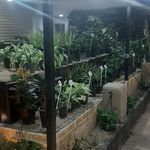 گلفروشی منصور کاظمی