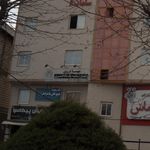 وکیل مهسا دروی