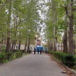 هنرستان نمونه دولتی امام صادق  