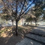 بوستان پرند