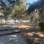 بوستان پرند