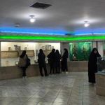 موزه علوم طبیعی پژوهشسرا ناحیه یک