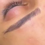 میکروبلیدینگ ابرو، شیدینگ لب، بن مژه