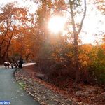 روستای نران