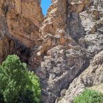 تنگه واشی