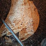 نانوایی سنگکی سنتی لیسانسه