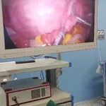 متخصص زنان و زایمان خانم افسر احمدی