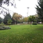 پارک پردیس وبازارچه محلی