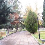 پارک پردیس وبازارچه محلی