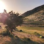 پارک ملی و منطقه حفاظت شده قرخود