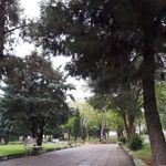پارک پردیس وبازارچه محلی