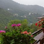 کافه کلبه