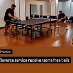 اموزش پینگ پنگ مظهر