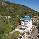 ویلا با استخر و بیلیارد جنگل دالخانی