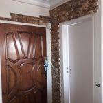 مهدی ماله میر