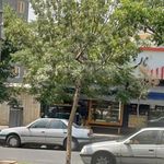 نان فانتزی قصر