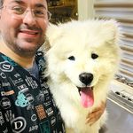 كلينيک تخصصى دامپزشكى نيک